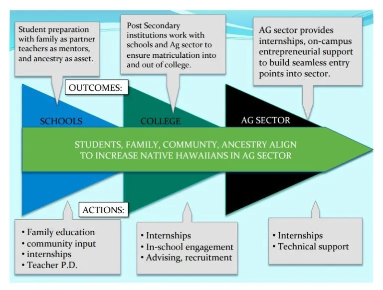Hoʻohiapo Network