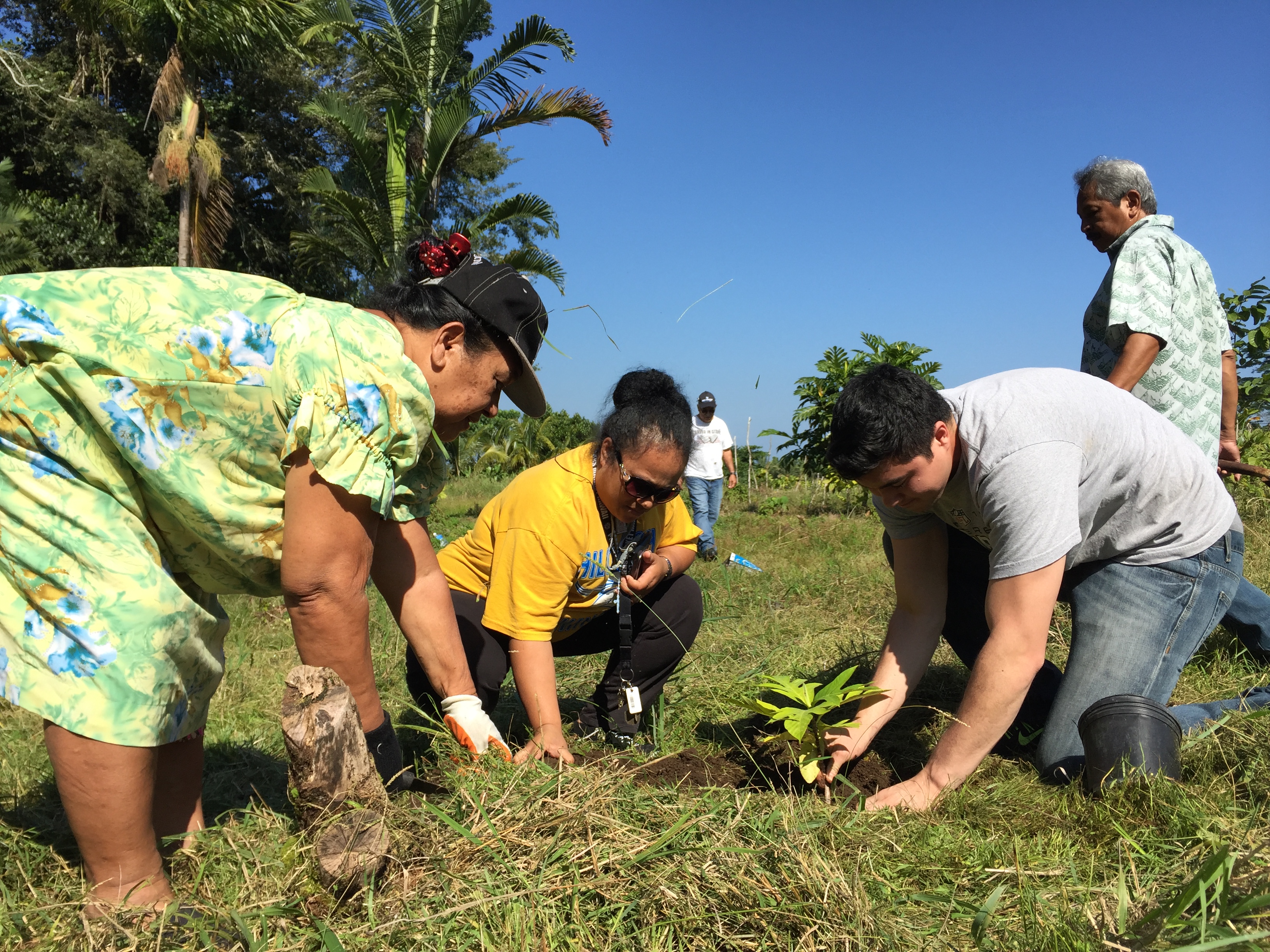 capacity building and technical assistance